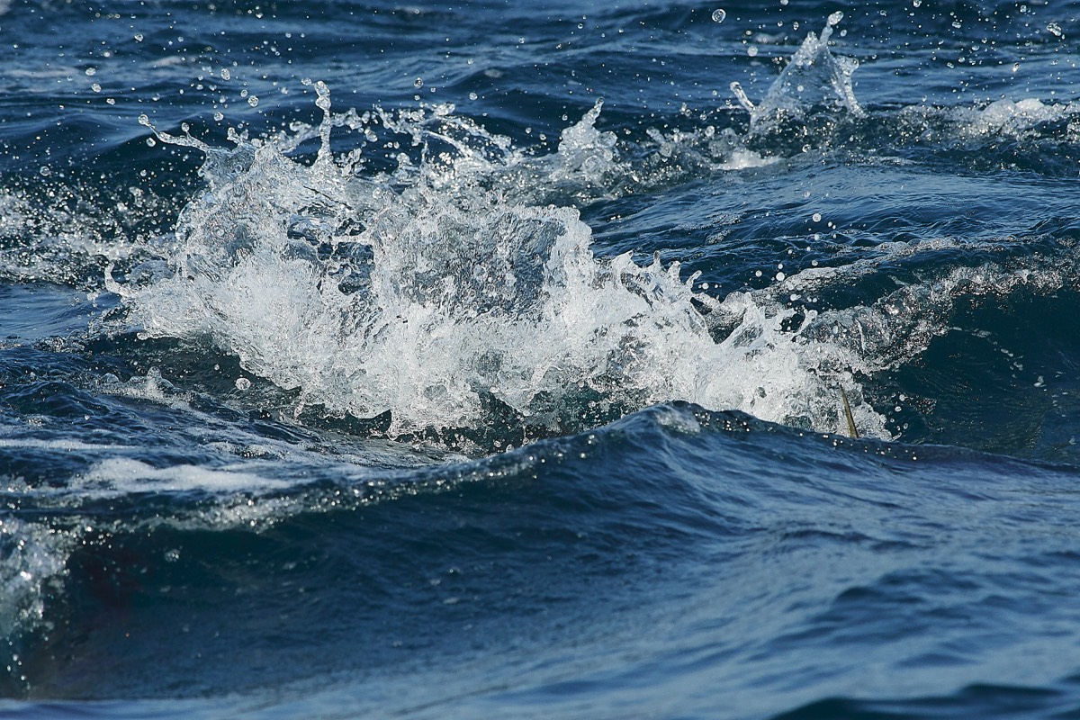 Blue Fin Tuna- Scilly Pelagic  24/08/19