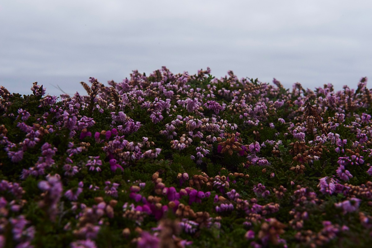 Heather  Bryher 26/08/19