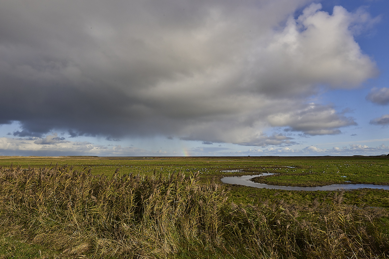 Cley011219-2-NEF-