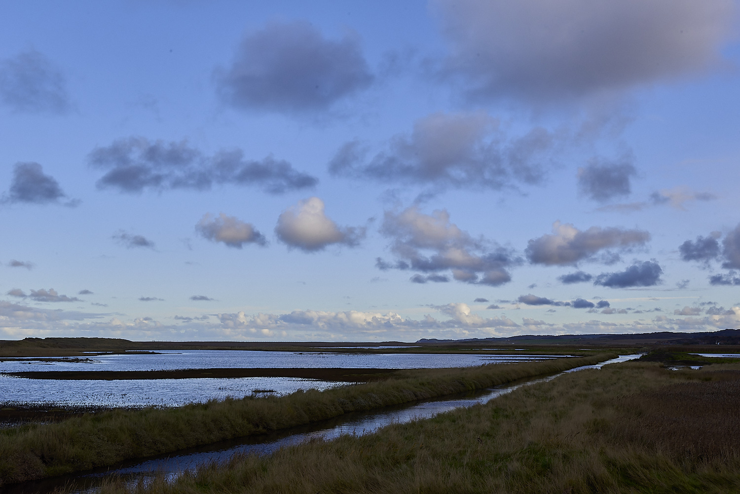 Cley011219-3-NEF-