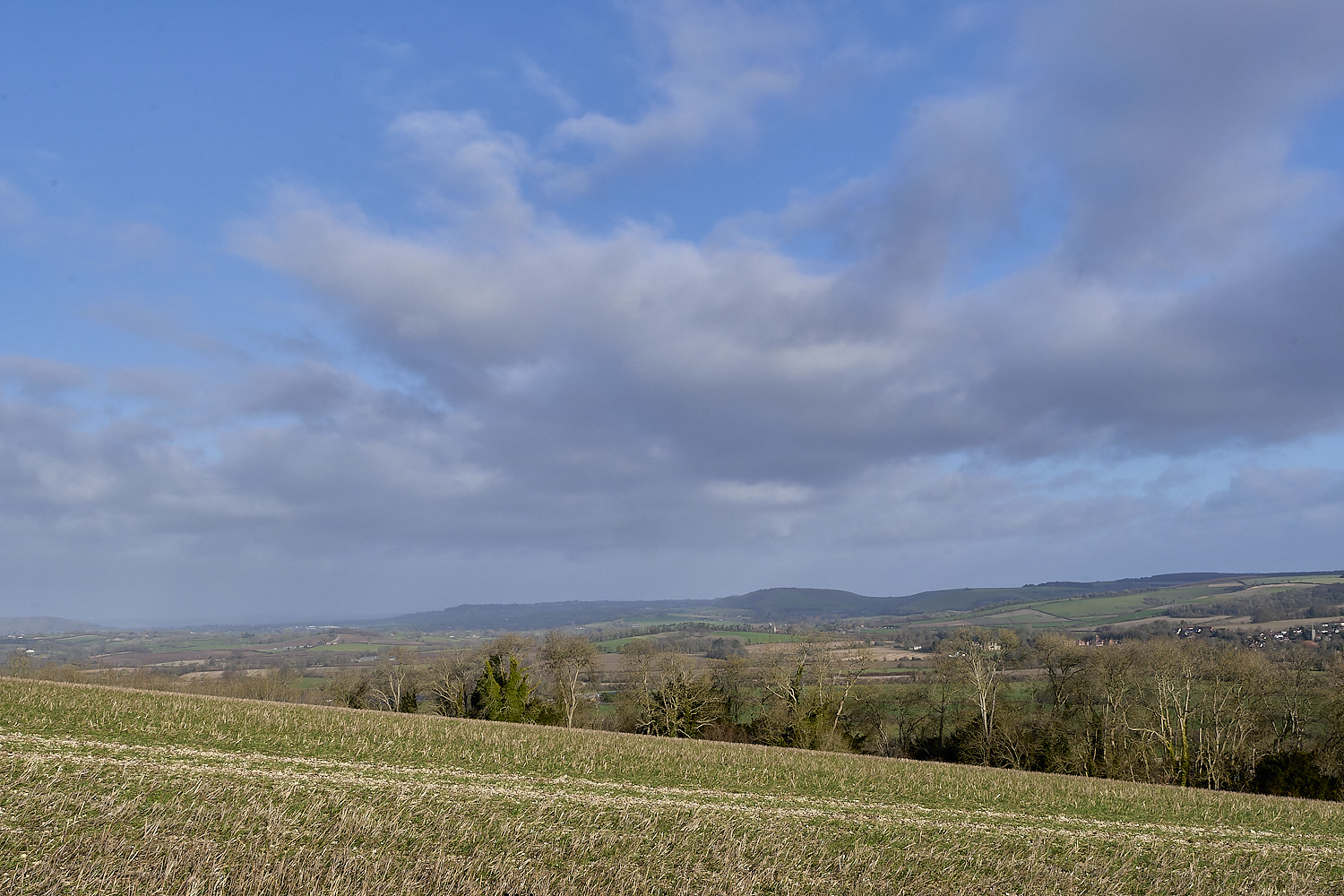 HambledonHill131219-1-NEF-