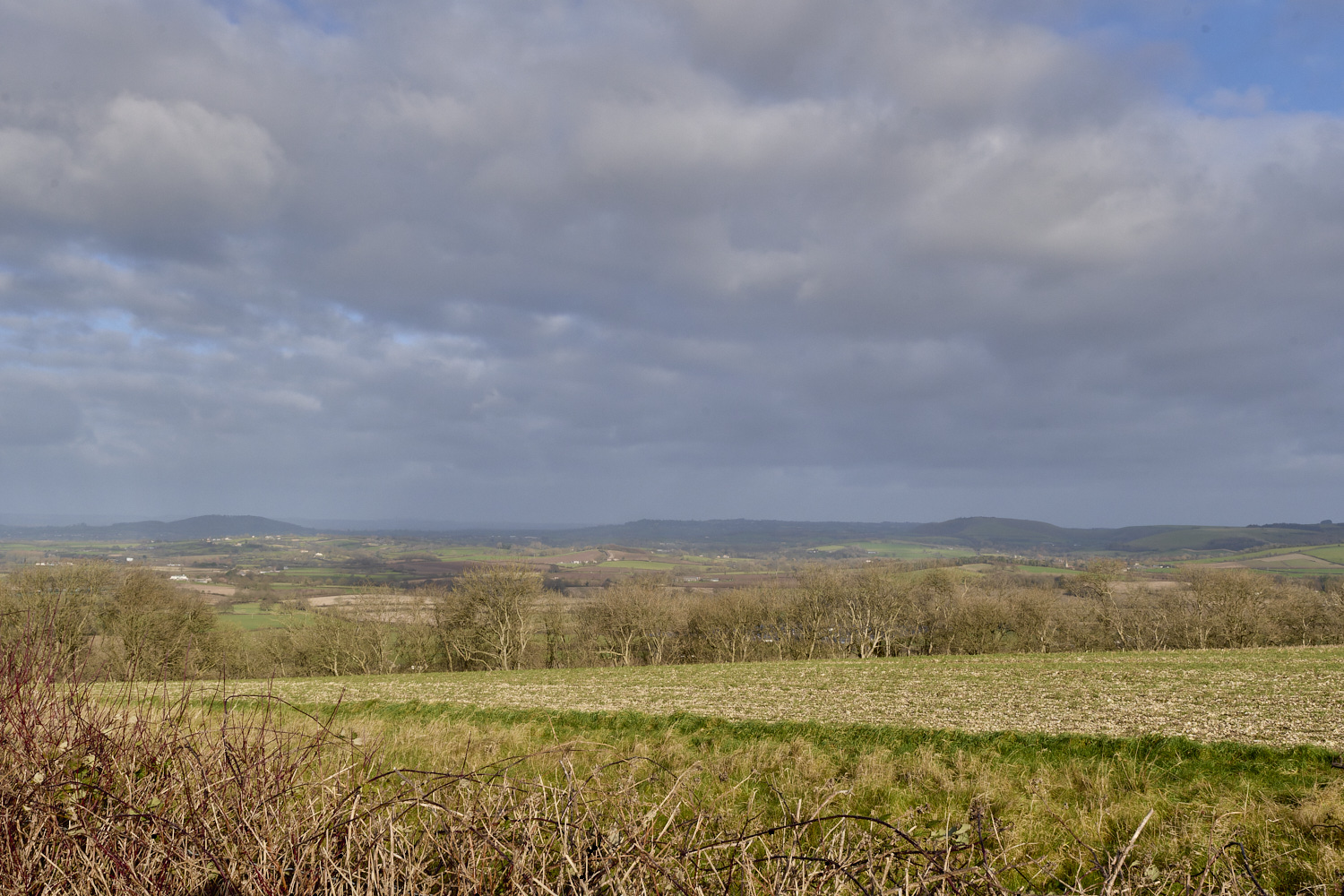 HambledonHill131219-3-NEF-