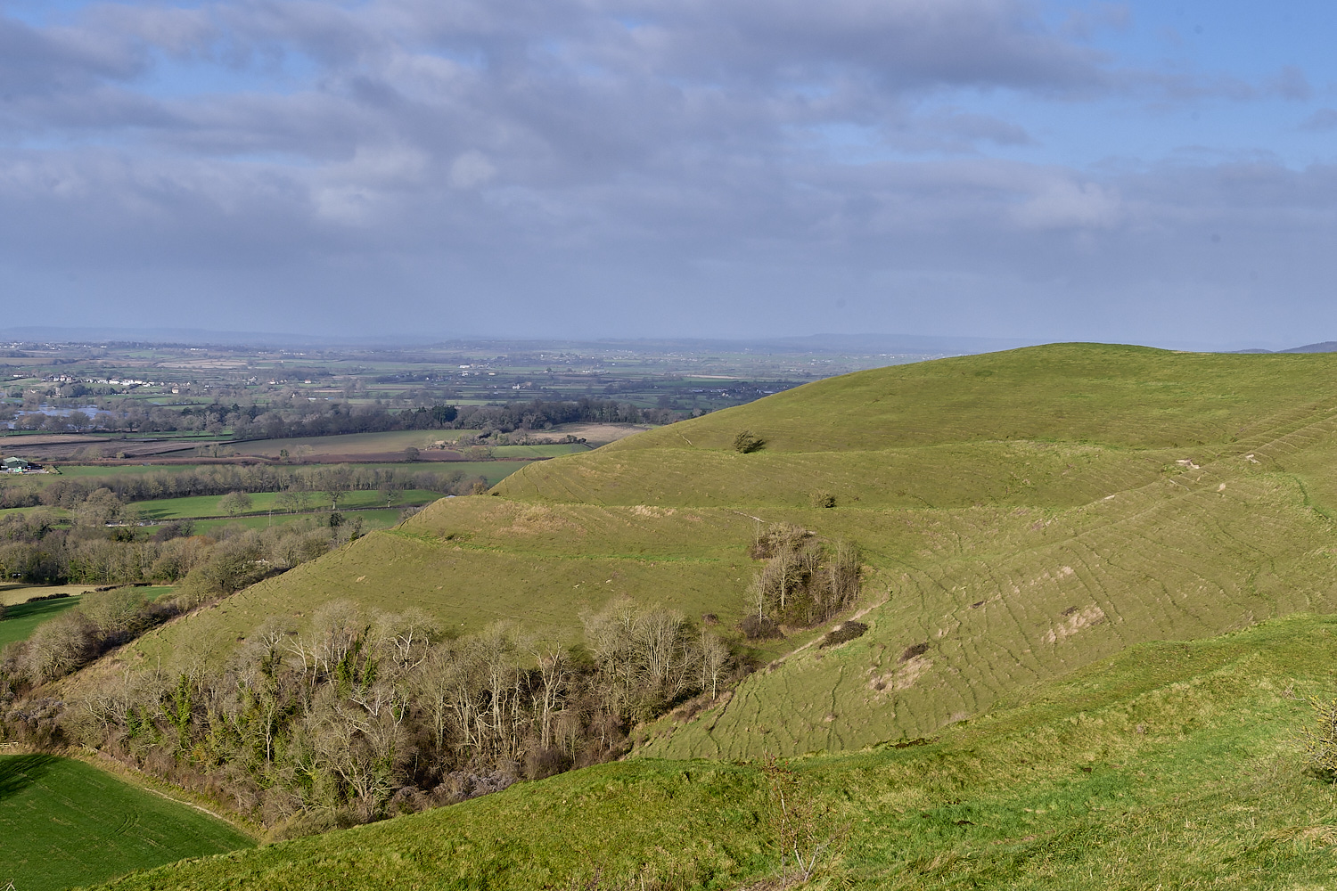 HambledonHill131219-5-NEF-