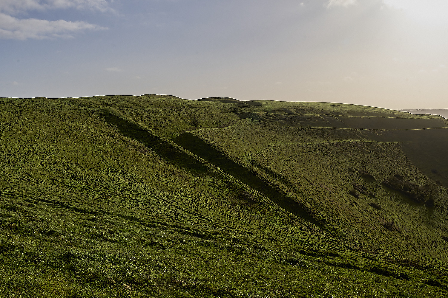 HambledonHill131219-7-NEF-