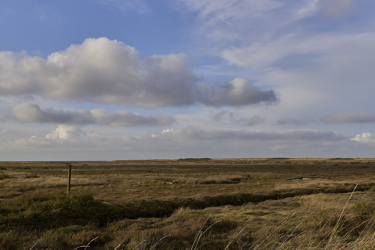 Titchwell131119-1-NEF-