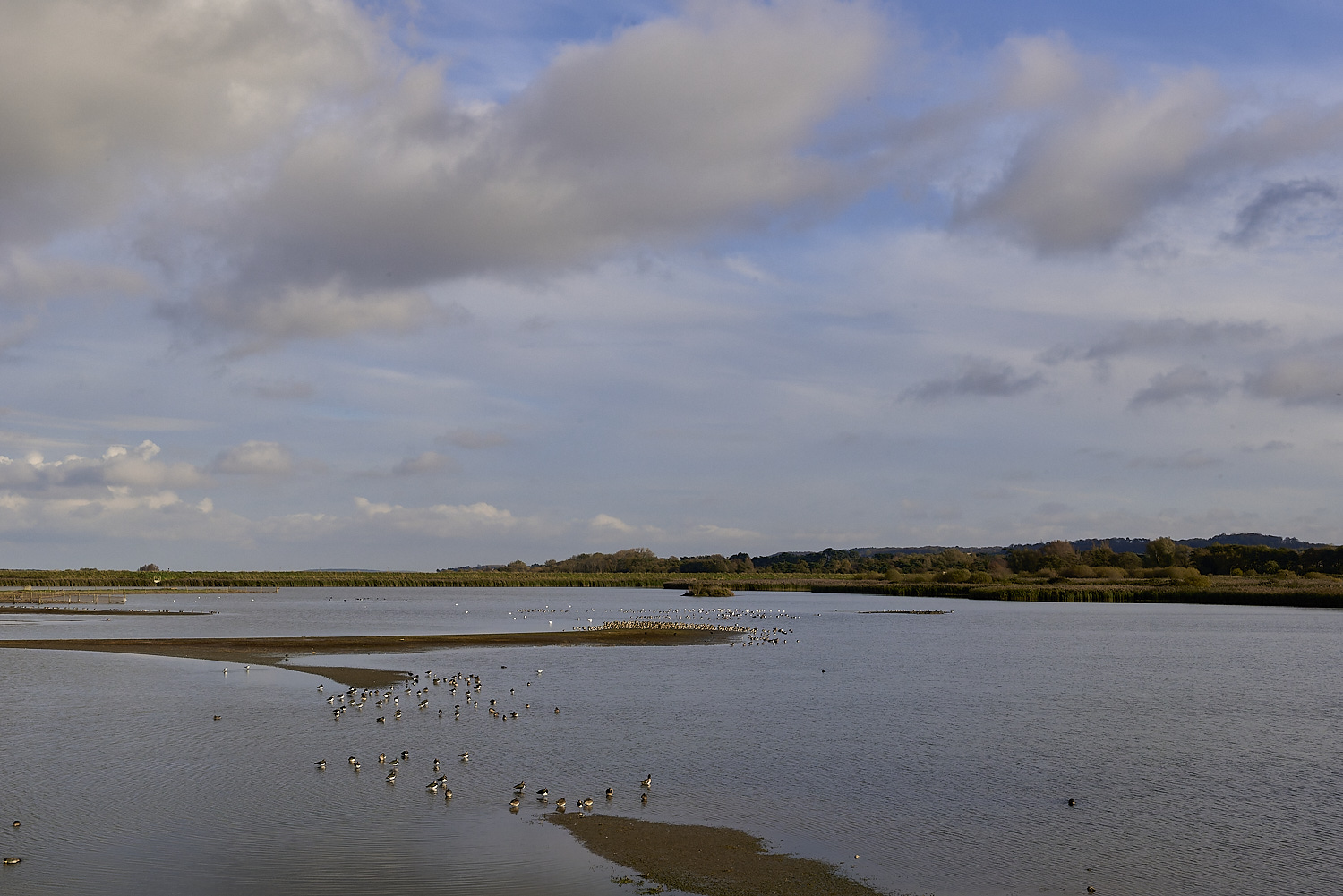 Titchwell131119-2-NEF-