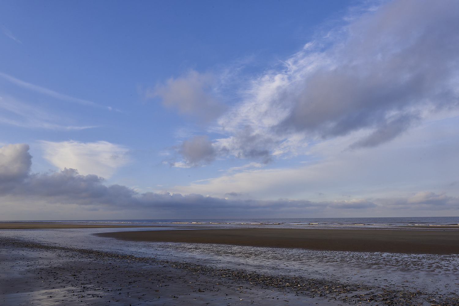 Titchwell131119-9-NEF-