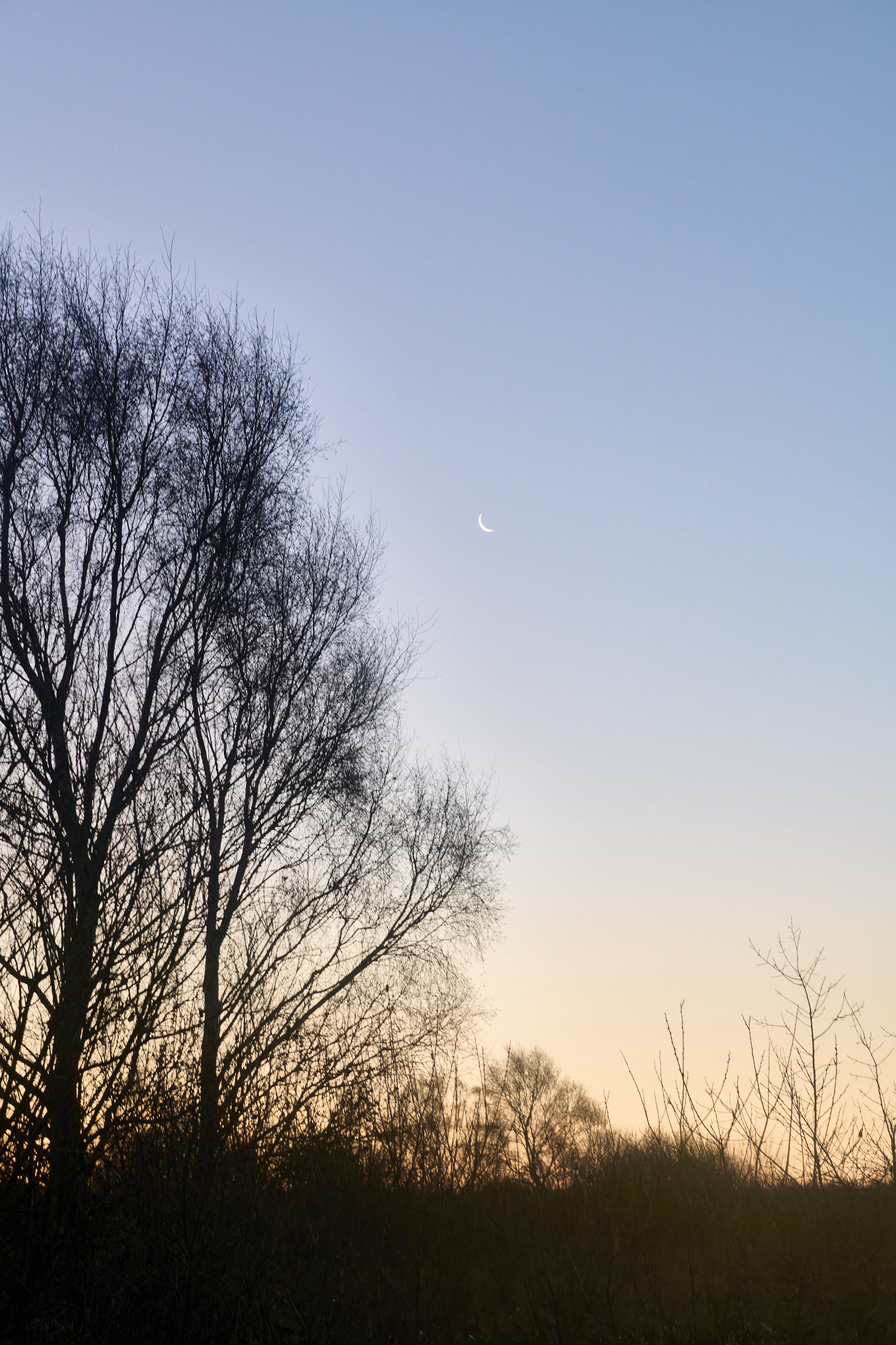 WickenFen231219-1 1-NEF-