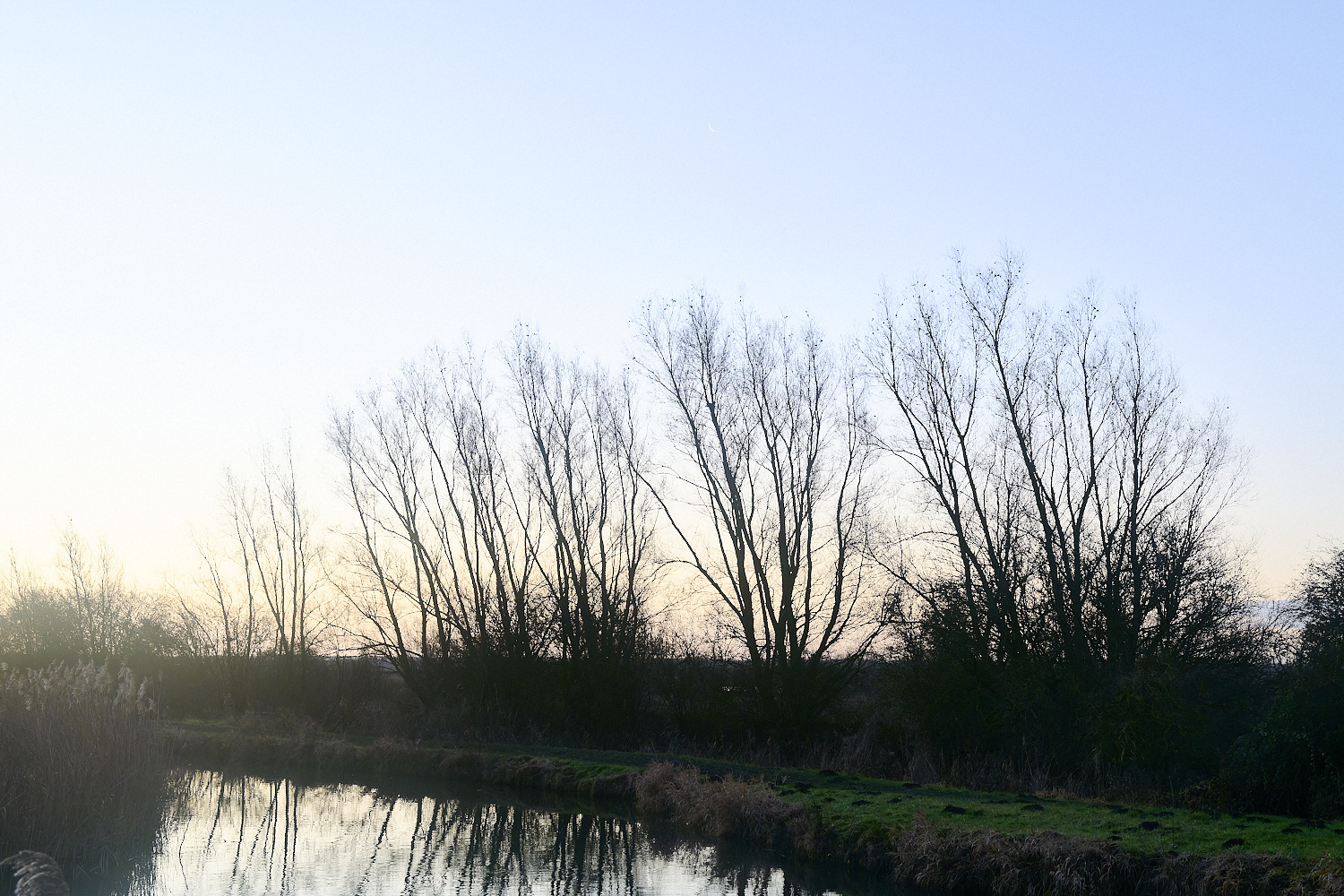 WickenFen231219-3 1-NEF-