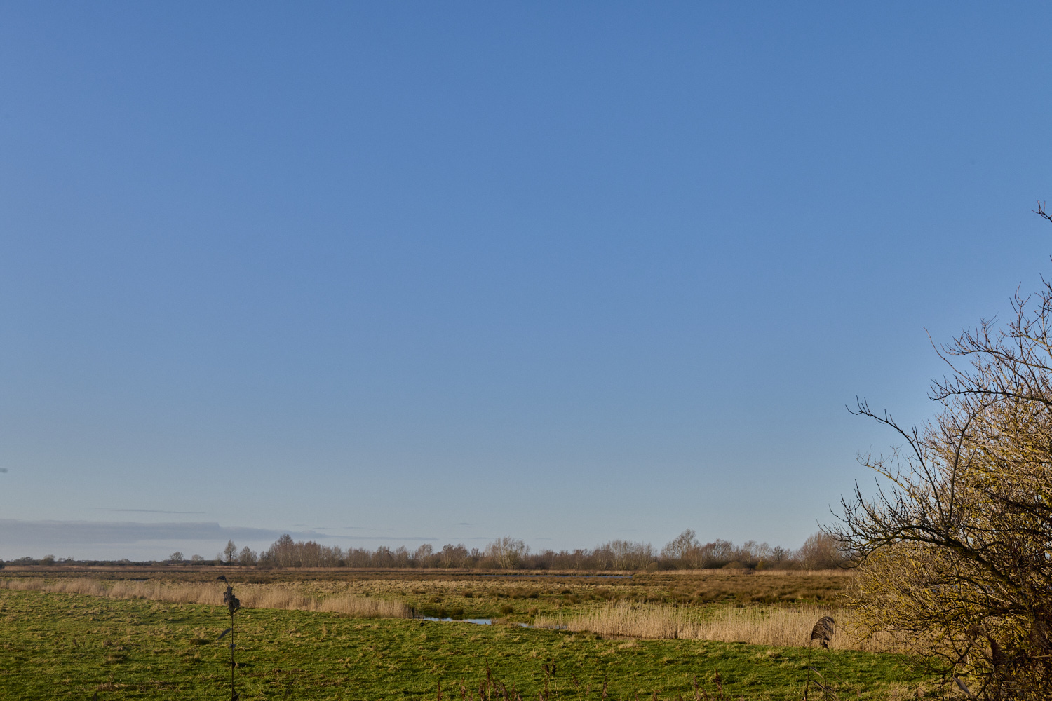 WickenFen231219-4 1-NEF-