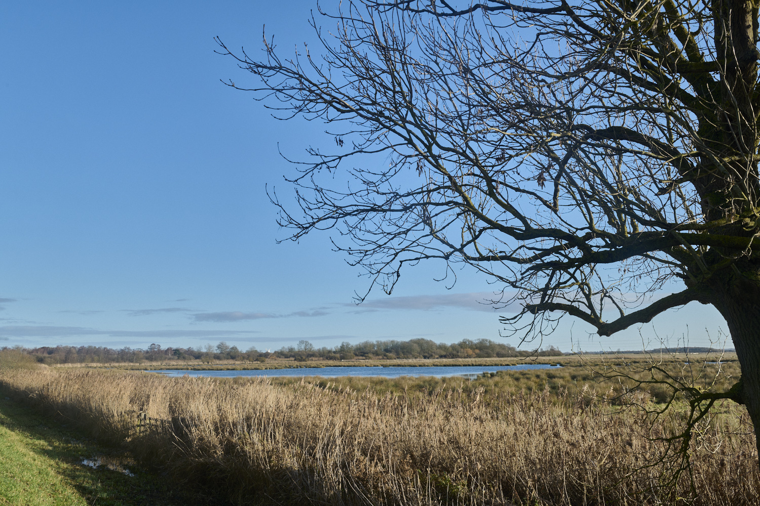 WickenFen231219-6 1-NEF-